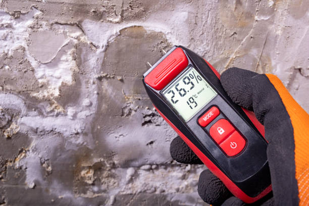 Mold Removal Process in Montgomery, GA