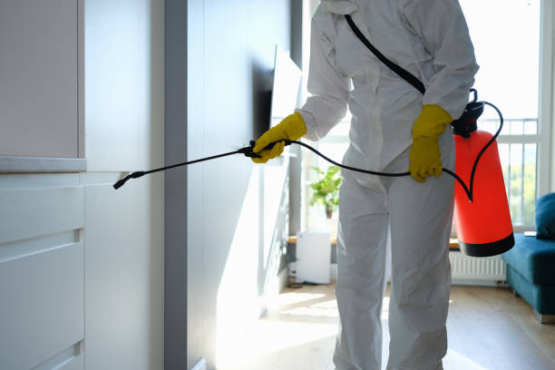 Best Mold Testing  in Montgomery, GA