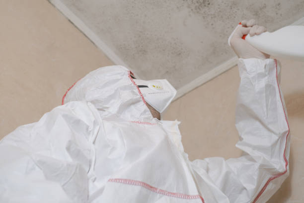 Trusted Montgomery, GA Mold Removal Experts