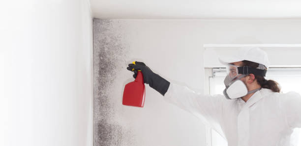 Best Professional Mold Removal  in Montgomery, GA