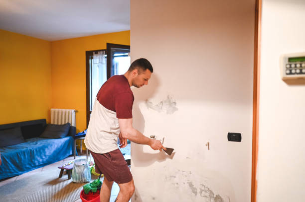 Best Office Mold Removal Services  in Montgomery, GA