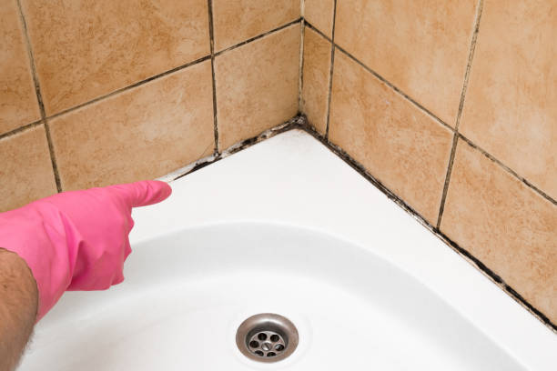 Best Emergency Mold Removal  in Montgomery, GA
